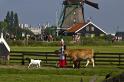 Zaanse Schans 019